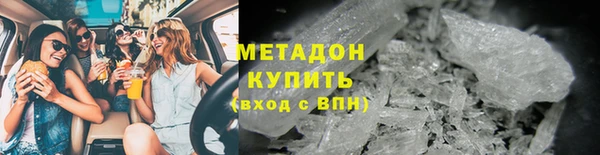 прущие грибы Гусев