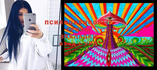 гидропоника Михайлов