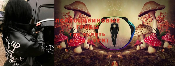 крисы Березники
