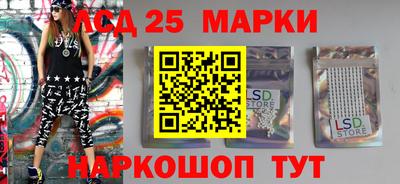 прущие грибы Гатчина