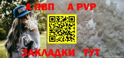 прущие грибы Гатчина