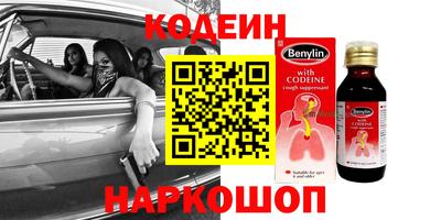 прущие грибы Гатчина
