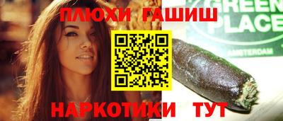 прущие грибы Гатчина