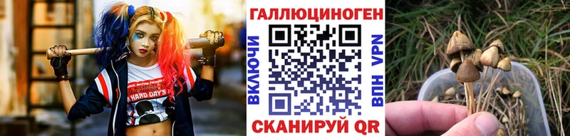 KRAKEN маркетплейс  сколько стоит  Северск  Галлюциногенные грибы MAGIC MUSHROOMS 