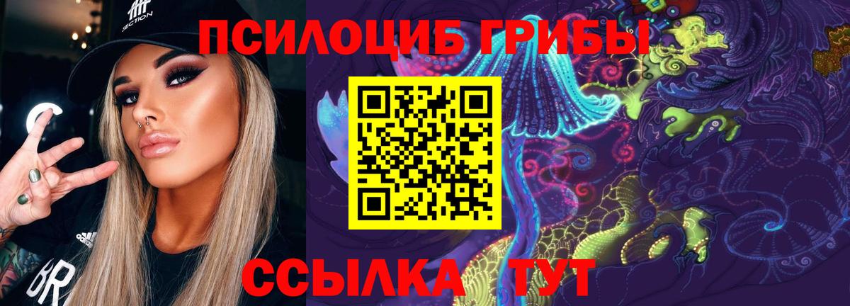 Галлюциногенные грибы мицелий  Галлюциногенные грибы Psilocybine cubensis  Вход с VPN  Северск 